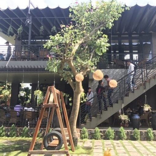 Mái Xếp Quán Cafe Quận 2